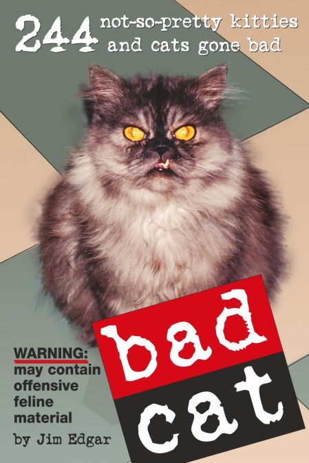 Bad Cat