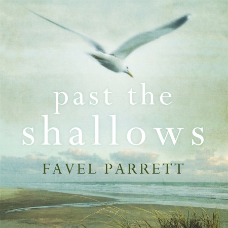 Past the Shallows