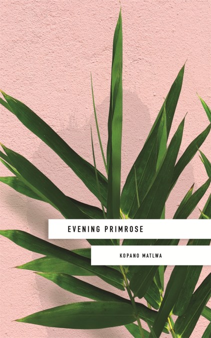 Evening Primrose: a heart-wrenching novel for our times