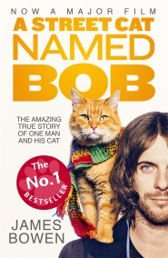 A Street Cat Named Bob