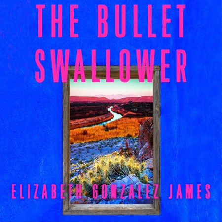 The Bullet Swallower